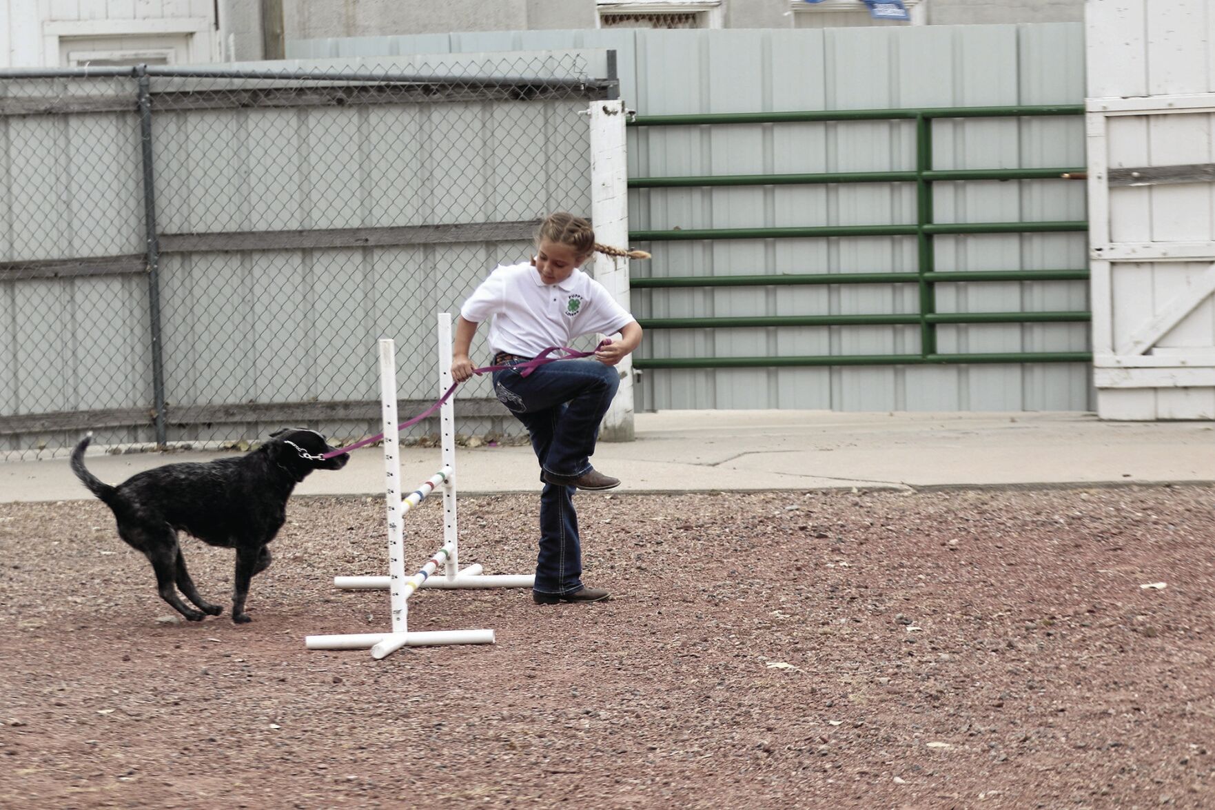 PHOTOS: Scotts Bluff County Fair Dog Show 2020